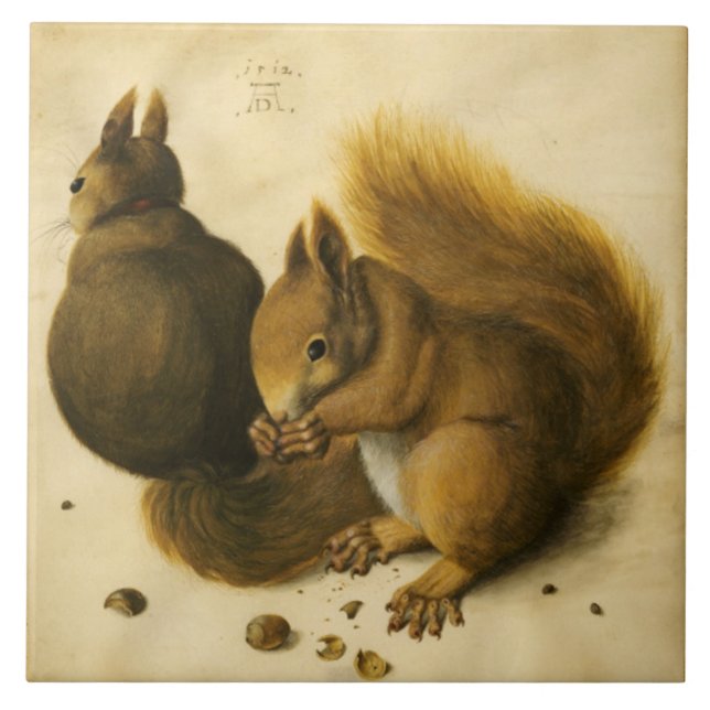 THE SQUIRREL WITH NUTS by Albrecht Durer Tile (Front)