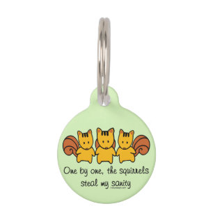 The squirrels steal my sanity pet tag