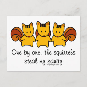 The squirrels steal my sanity postcard