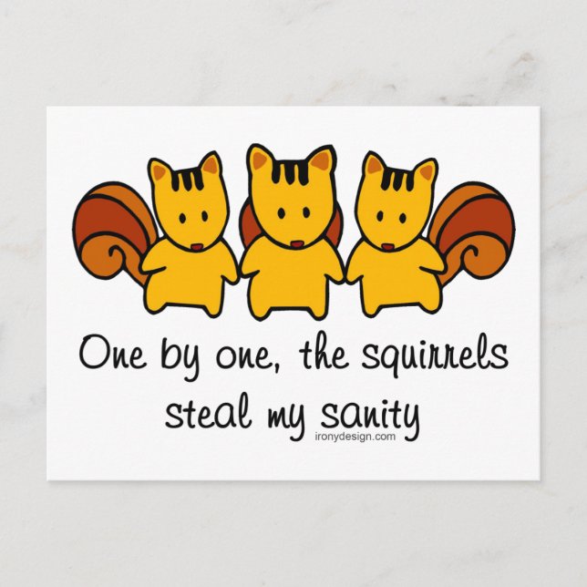 The squirrels steal my sanity postcard (Front)