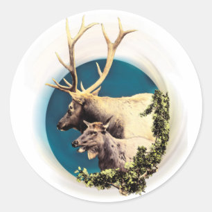 The Stag and The Hind Classic Round Sticker