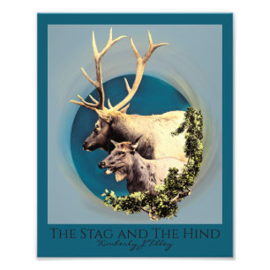 The Stag and The Hind Photo Enlargement Print