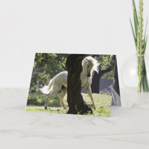 The Stallion and the Tree Horse Greeting Card