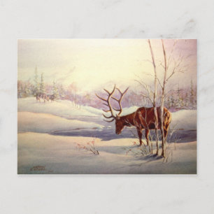 The STANDOFF by SHARON SHARPE Postcard