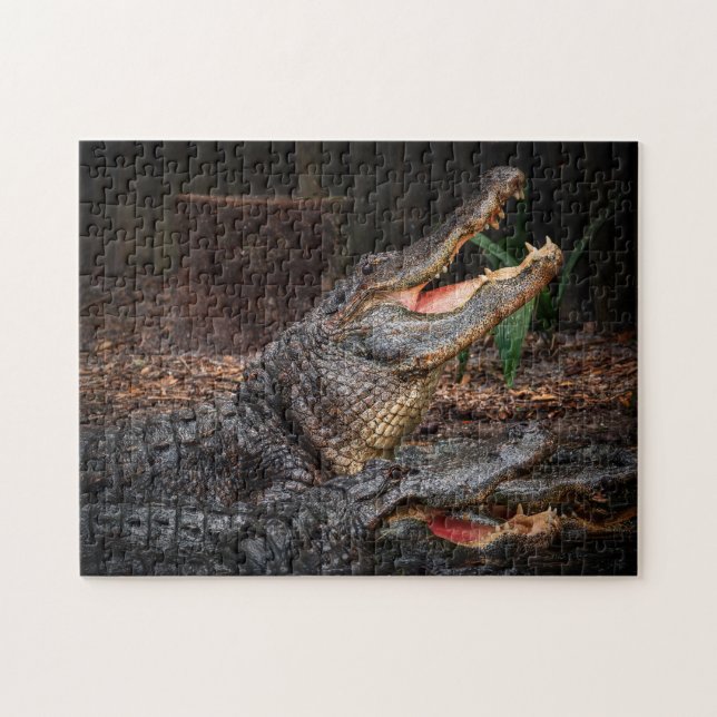 The Standoff Jigsaw Puzzle (Horizontal)