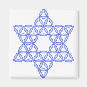 The Star Of Life - Sacred shapes Magnet