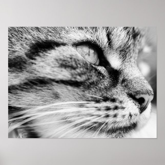 The Stare Poster (Front)