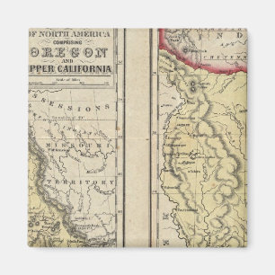 The State Of Texas Magnet