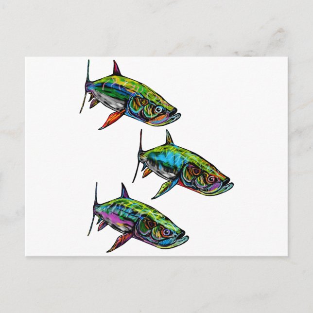 THE STEADY SCHOOL POSTCARD (Front)