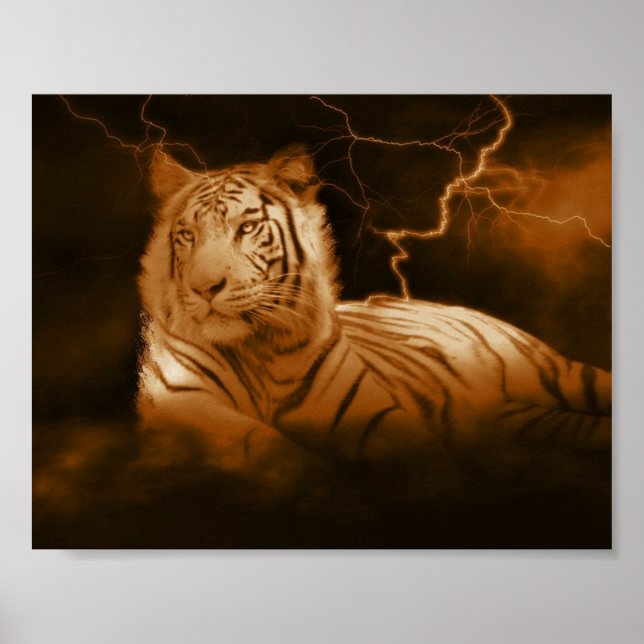 The Storm Poster (Front)