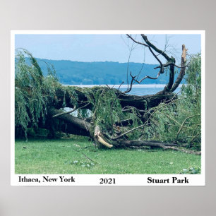 THE STORM STUART PARK 2021  POSTER