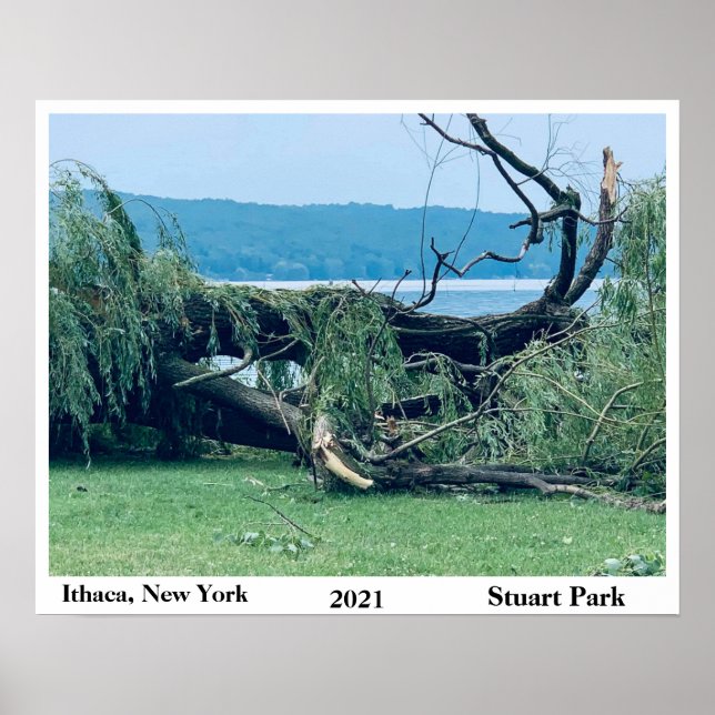 THE STORM STUART PARK 2021  POSTER (Front)