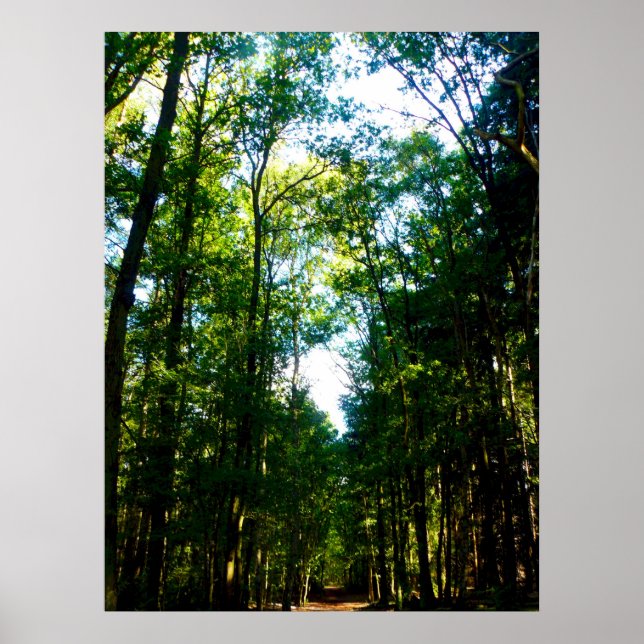 The Straight and Narrow Poster (Front)