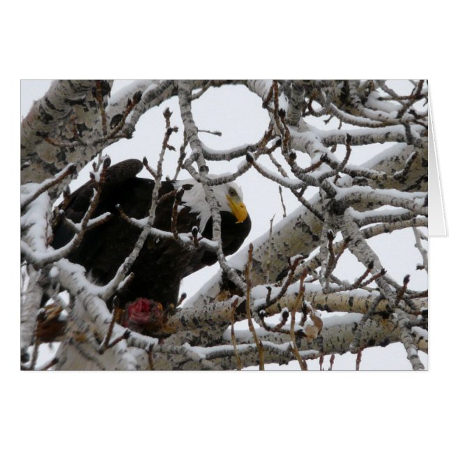 The Strong Survive (Front Horizontal)