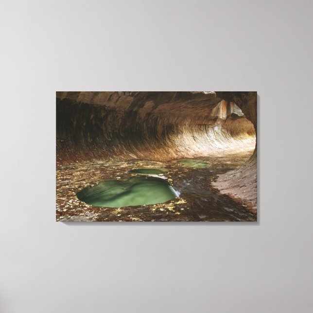 The Subway is a geologic formation of sandstone ca Canvas Print (Front)