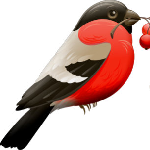 The summer shirt printed with a bird in red, black