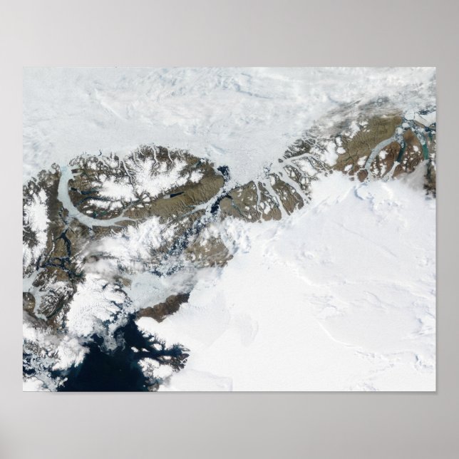 The summer thaw poster (Front)