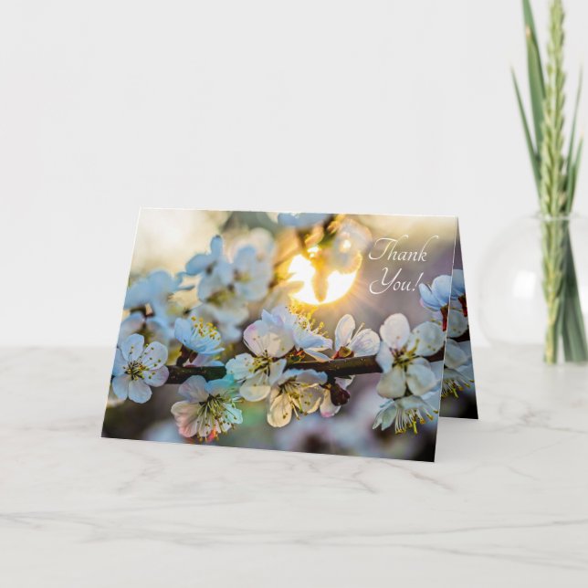 The Sun And Japanese Apricot Flowers Thank You Card (Front)