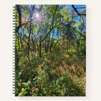 The Sun in the Trees College-Ruled Notebook