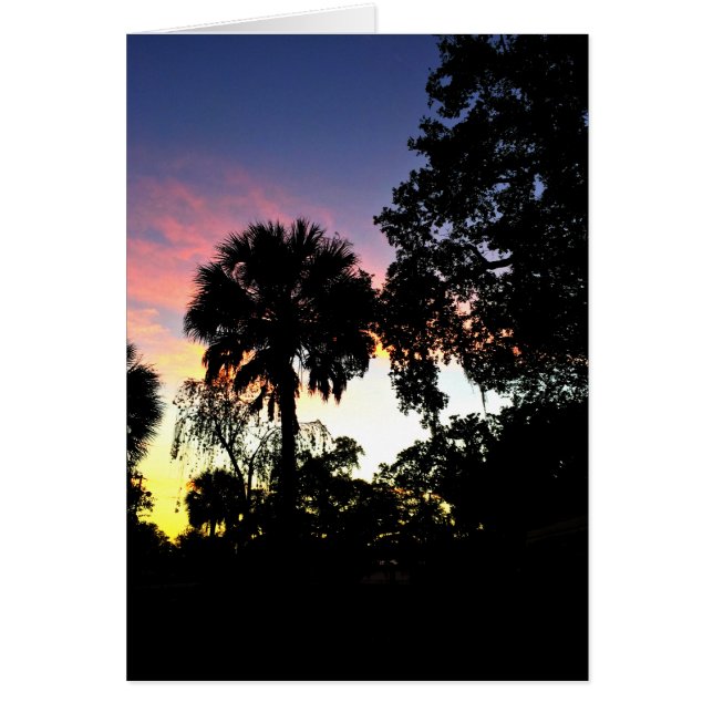 The sun is rising (Front)