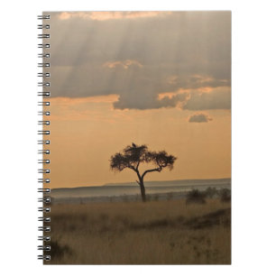 The sun rays lasering through the afternoon spiral notebook