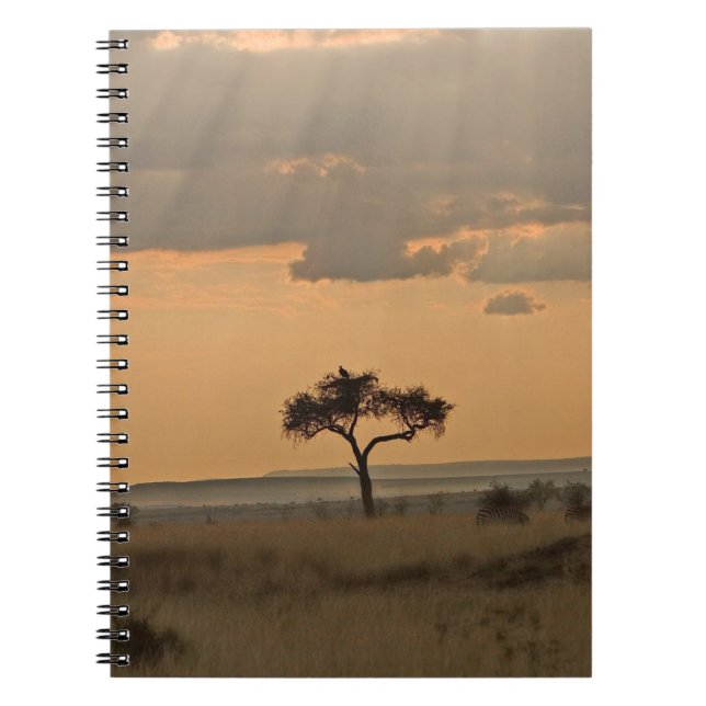 The sun rays lasering through the afternoon spiral notebook (Front)