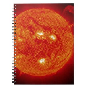 The Sun Spiral Notebook