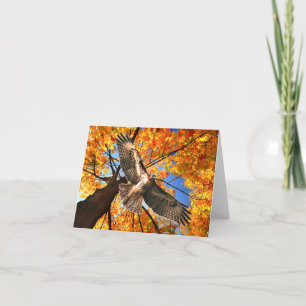 "The Sunday Hawk" Note Card