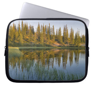 The sunrise illuminates trees on an unnamed laptop sleeve