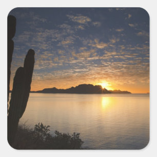 The sunrise over Isla Danzante in the Gulf of Square Sticker