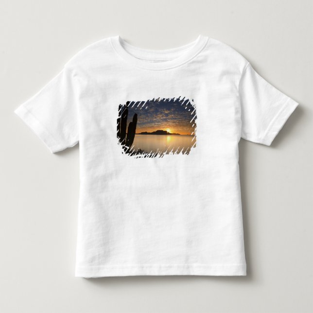 The sunrise over Isla Danzante in the Gulf of Toddler T-Shirt (Front)