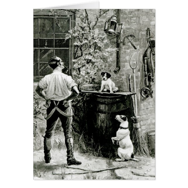 The Survival of the Fittest (Front)