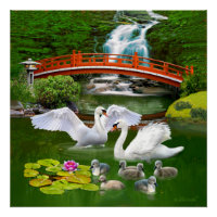 THE SWAN FAMILY