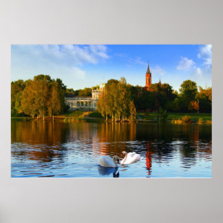 The Swan Lake Magic Poster