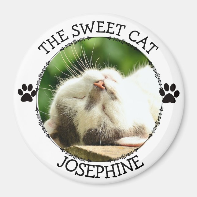 THE SWEET CAT: Humourous  Pawprints Photo Button Magnet (Front)