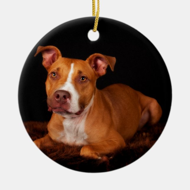 The Sweet Pitty Ceramic Tree Decoration (Front)