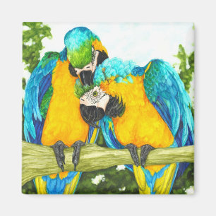 The Sweet Spot - Blue & Gold Macaws Magnet