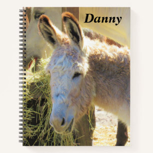The Sweetest Donkey Ever Personalised Notebook