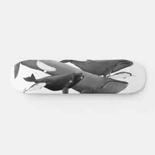 The Swim Of Whales Illustration Art Whale Skateboard