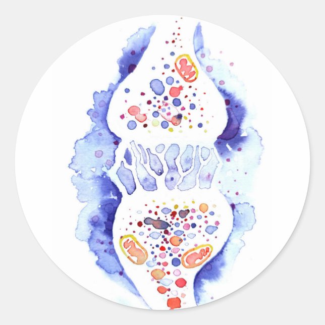 The synapse and the nerve impulse canvas print rou classic round sticker (Front)