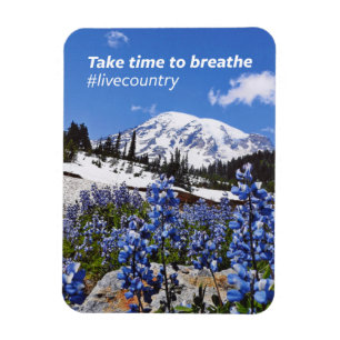 The Take Time to Breathe Magnet