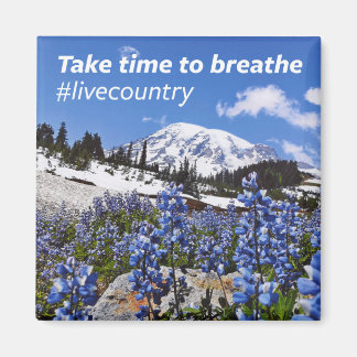 The Take Time to Breathe Magnet