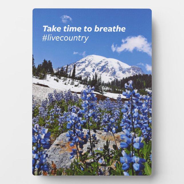 The Take Time to Breathe Plaque (Front)