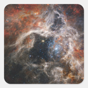 The Tarantula Nebula   JWST Square Sticker