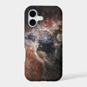 The Tarantula Nebula NIRCam JWST