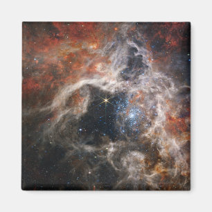 The Tarantula Nebula NIRCam JWST Magnet