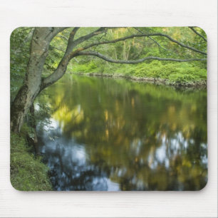 The Taunton River in Bridgewater, Mouse Pad