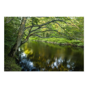 The Taunton River in Bridgewater, Photo Print
