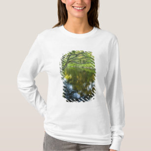 The Taunton River in Bridgewater, T-Shirt