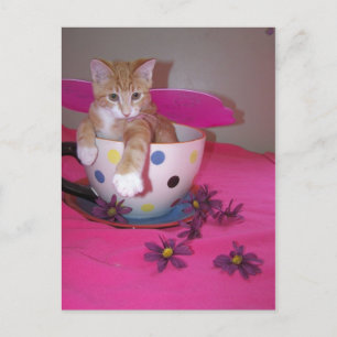 The tea cup fairy postcard